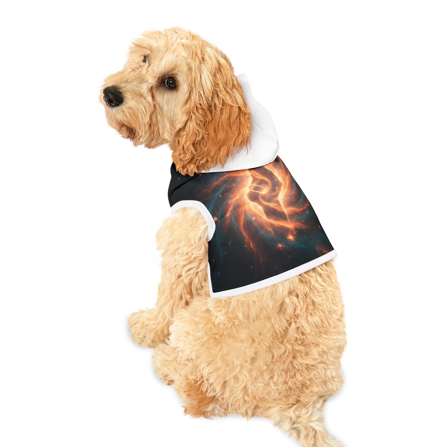 Galaxy Flame Pet Hoodie — Space Swirl Dog & Cat Hoodie
